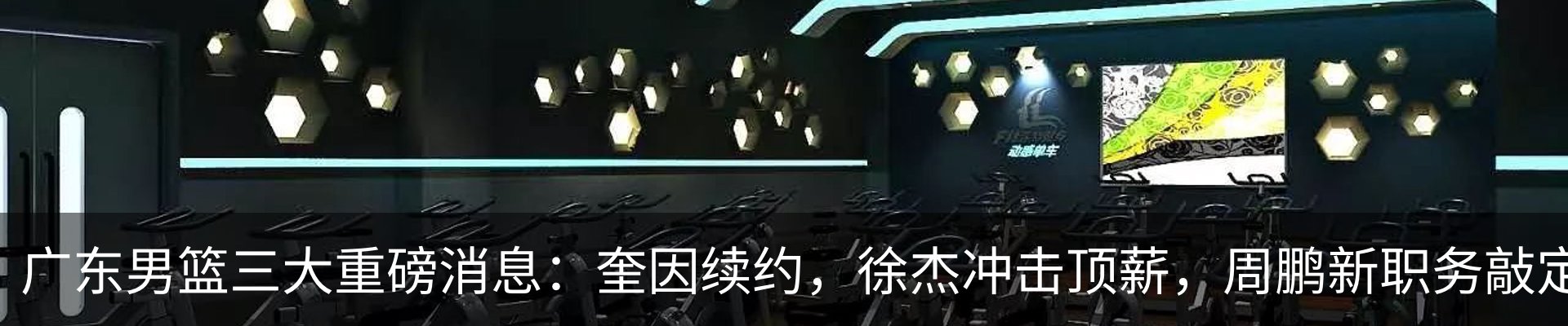 新闻动态