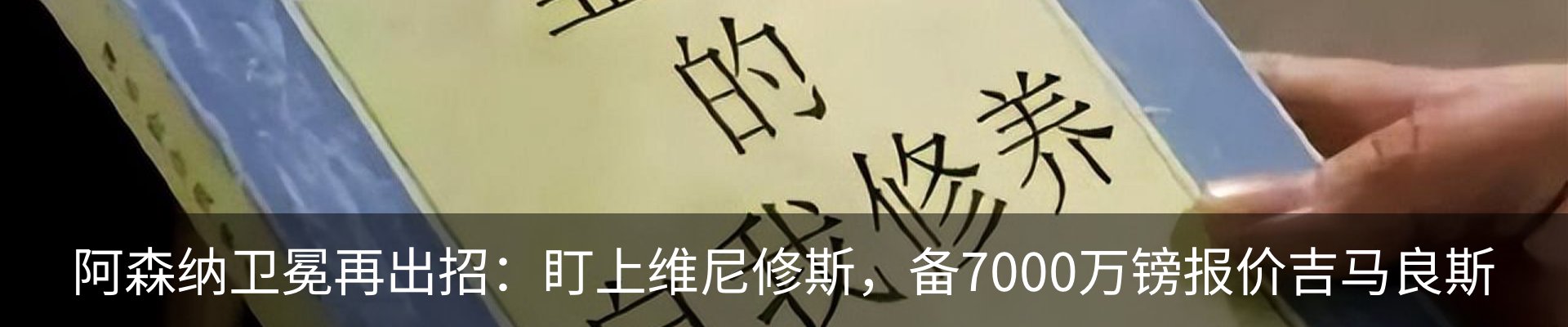 新闻动态